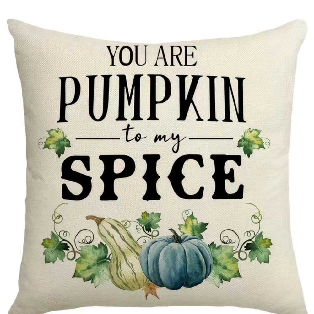 You are Pumpkin to My Spice Pillow Cover
